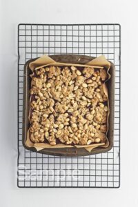 PBJ Oat Bars - Set 2
